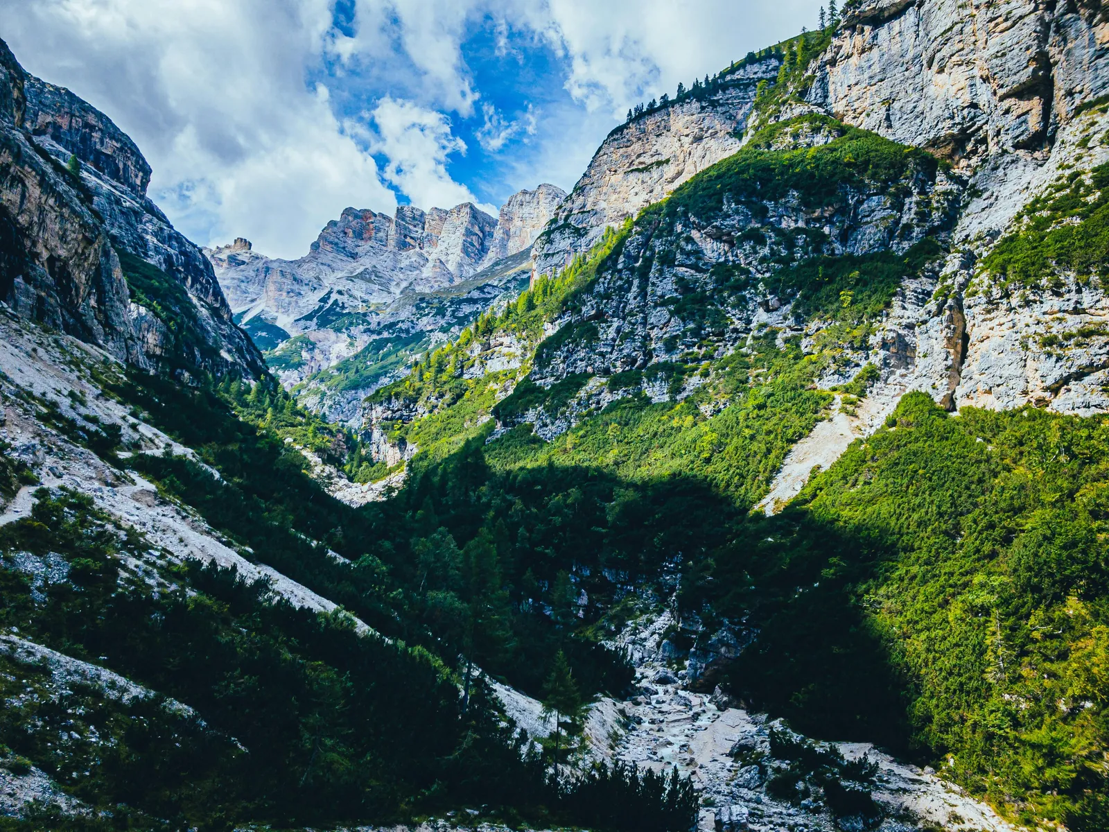 Green valley below the cliffs near Cortina d'Ampezzo