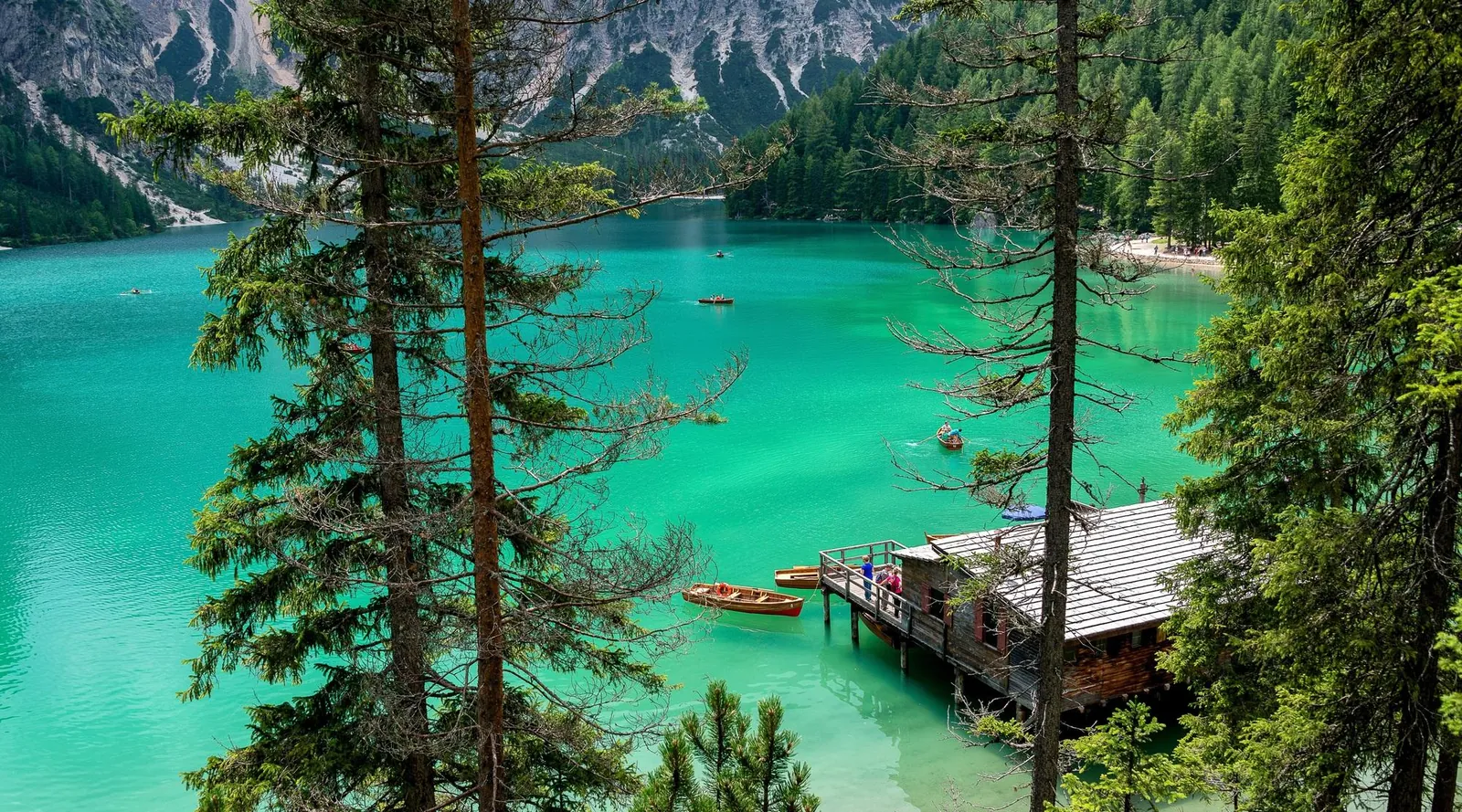 Turquoise Lago di Braies with its boathouse through the pines