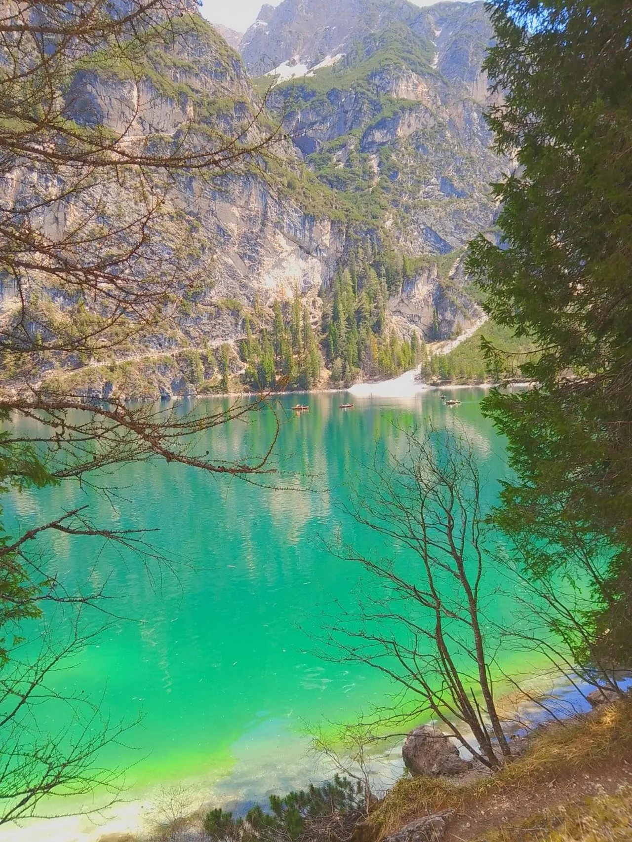 Emerald shallows at the edge of Lago di Braies