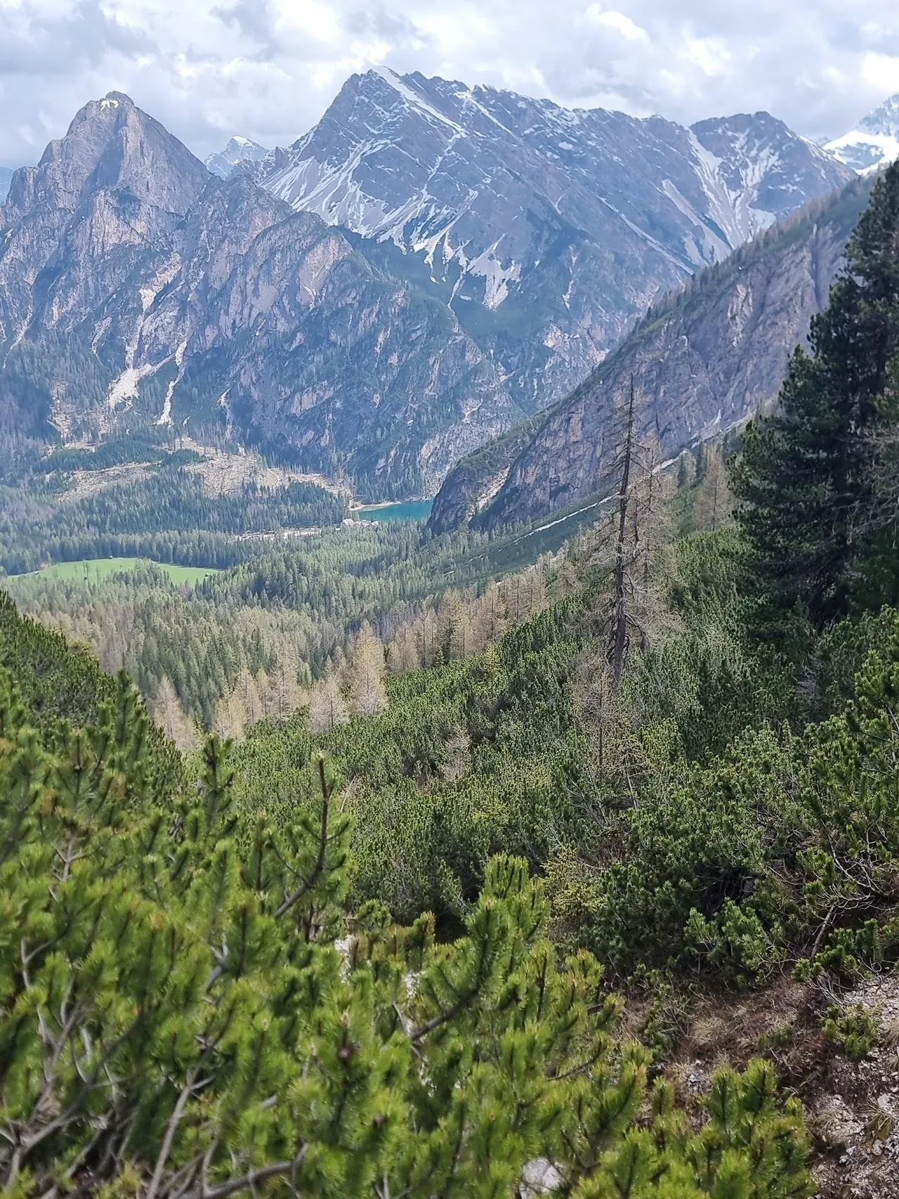 Forested valley running up toward the Dolomites peaks