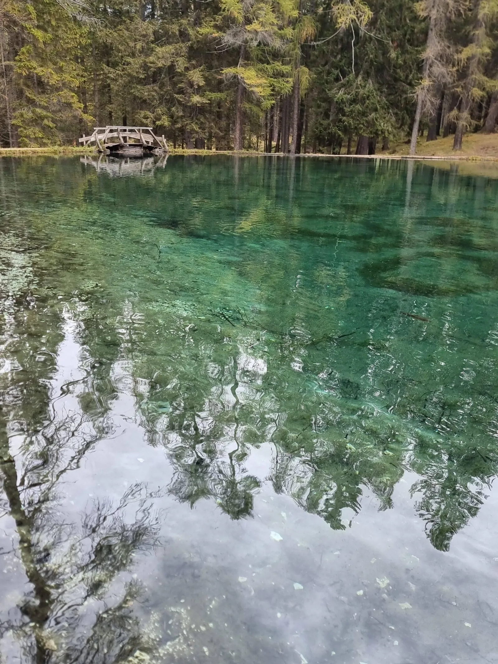 Reflections in the clear water of Lago di Braies