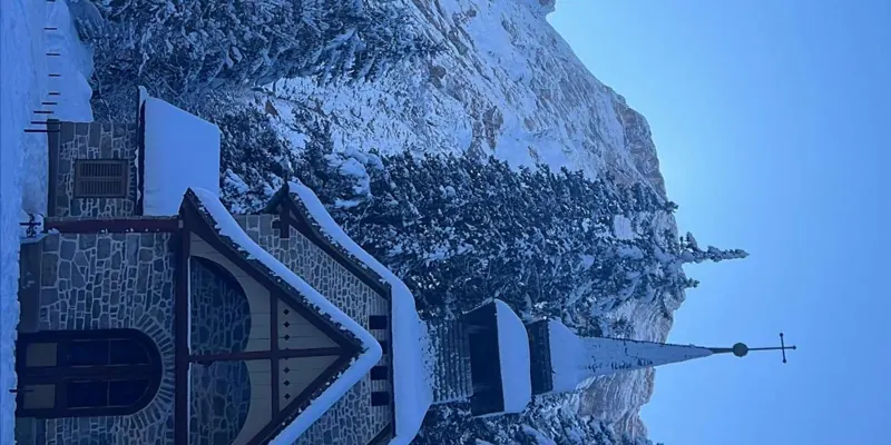Guest photo from review