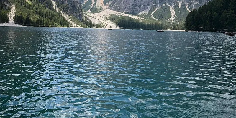 Guest photo from review