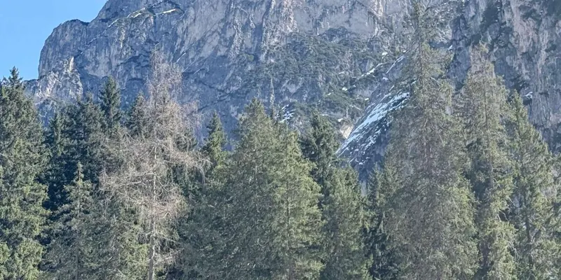 Guest photo from review