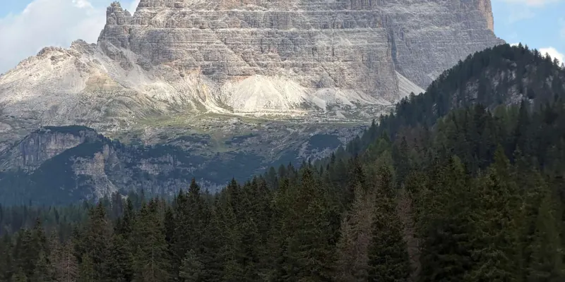 Guest photo from review